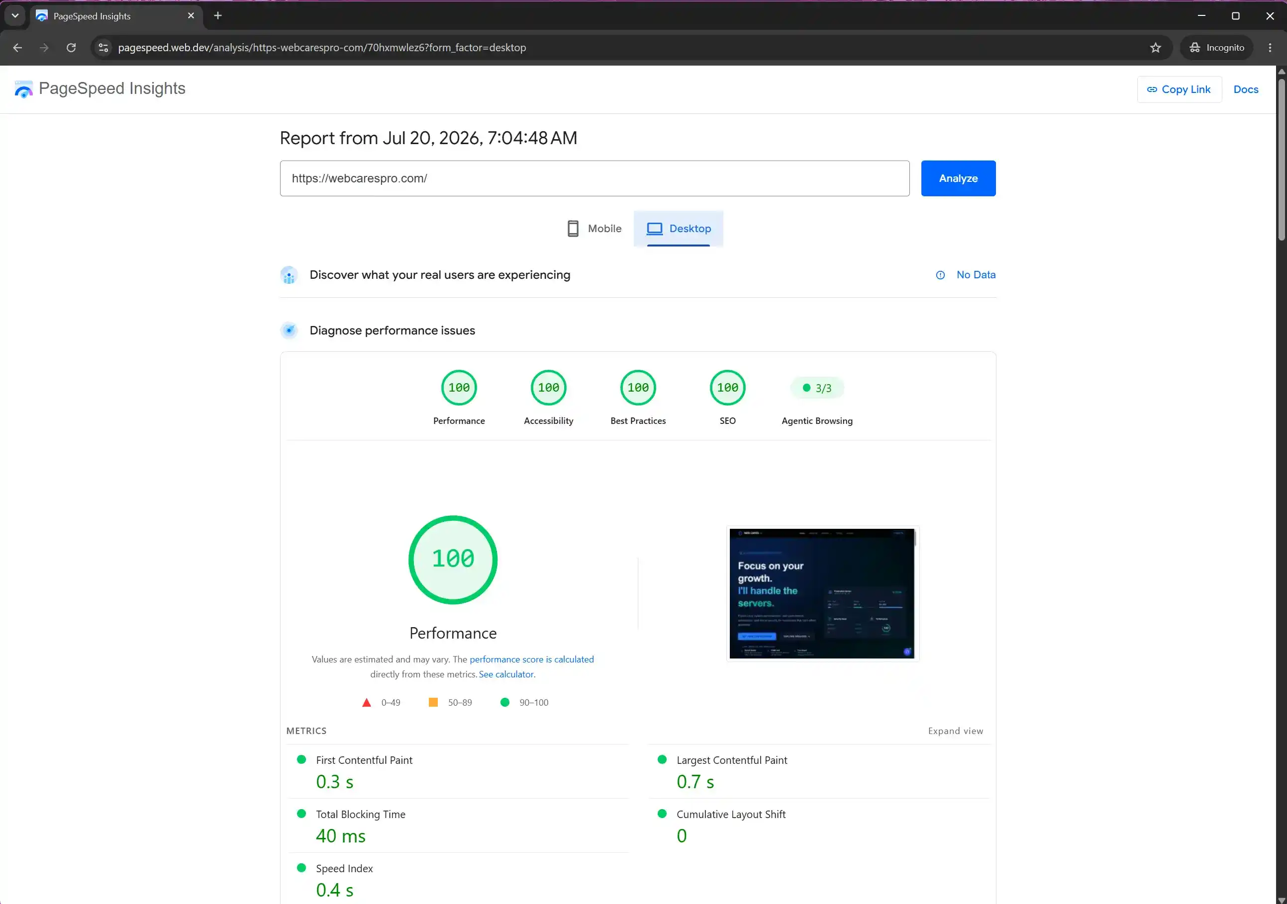 Google PageSpeed Insights Desktop Report - 100/100 Score WebCare Pro Desktop Page Speed Audit showing a perfect 100 out of 100 score in Google PageSpeed Insights.